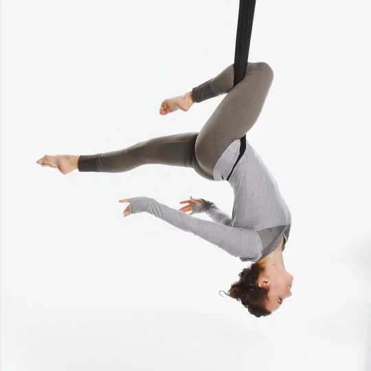 Rhapsody Aerial Dance Picture 3