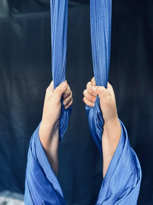 Rhapsody Aerial Dance Picture 5