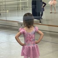Sherwood Dance Academy ico