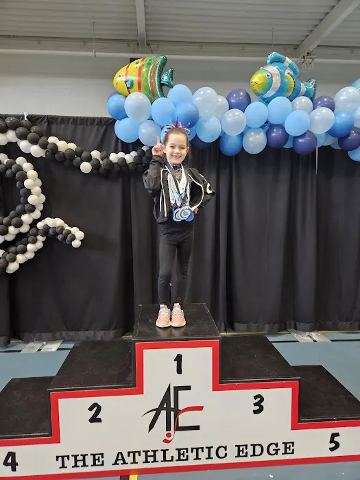 Precision Elite Gymnastics Picture 3