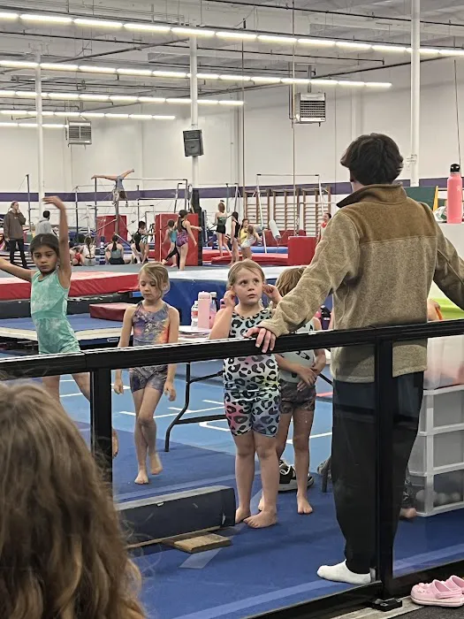 Precision Elite Gymnastics Picture 6