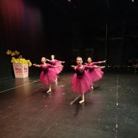 Evergreen Dance Academy ico
