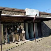 Claudette Walker School-Dance ico