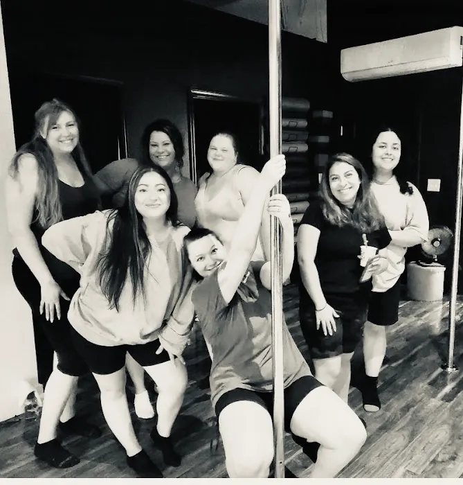 Studio 4 Pole 4 Fun Picture 3