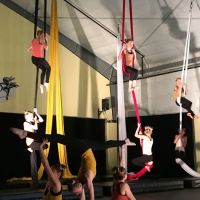 Allegro Dance Studio ico