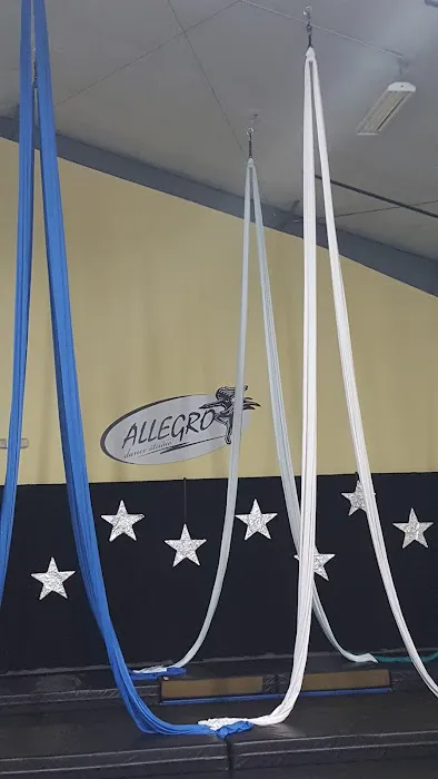 Allegro Dance Studio Picture 2