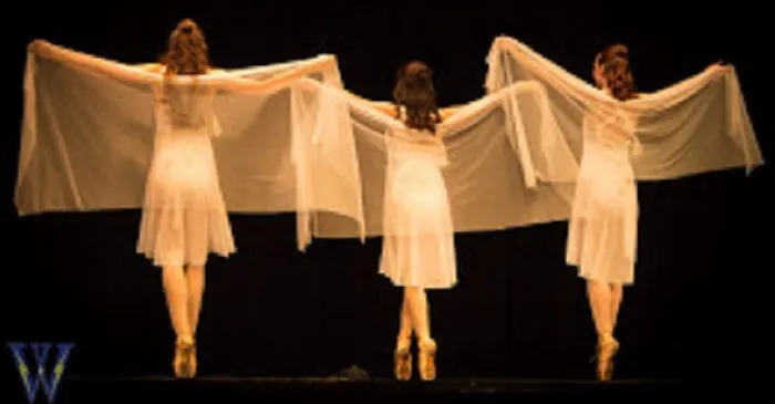 Laurel Valley School of Dance Picture 8
