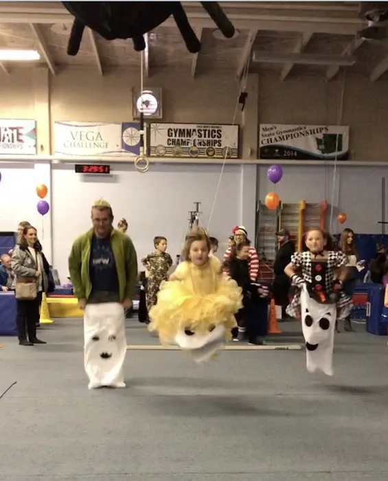 Vancouver Elite Gymnastics Academy VEGA Picture 1