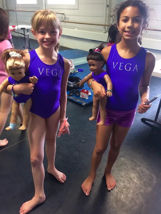 Vancouver Elite Gymnastics Academy VEGA Picture 3