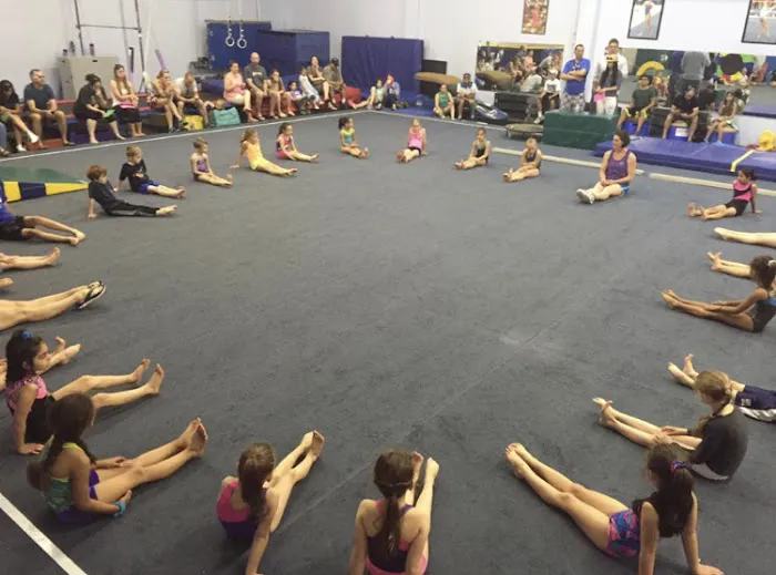 Vancouver Elite Gymnastics Academy VEGA Picture 6