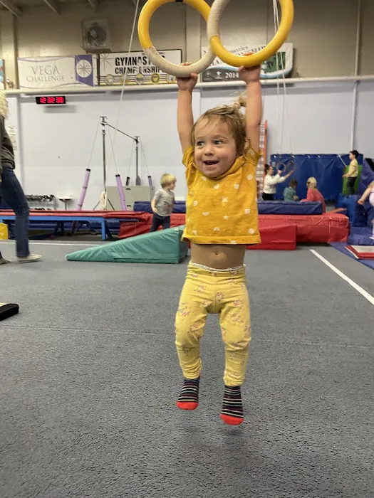 Vancouver Elite Gymnastics Academy VEGA Picture 9