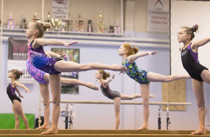 Vancouver Elite Gymnastics Academy VEGA Picture 4