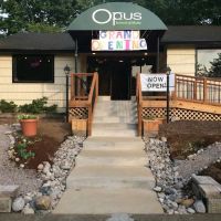 Opus School of the Arts ico