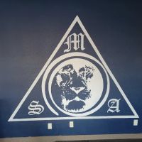 Molalla Striking Arts ico