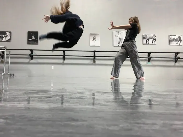 Revolutionary Dance & Movement Co. Picture 4