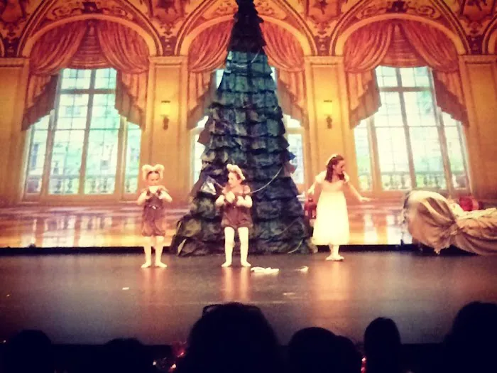 Premiere Academy of Performing Arts Picture 2