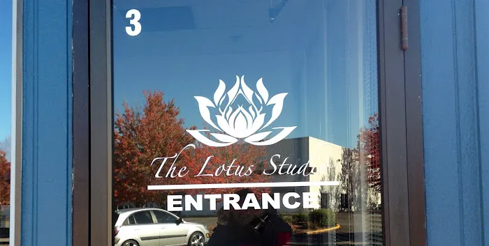 The Lotus Studio Picture 5