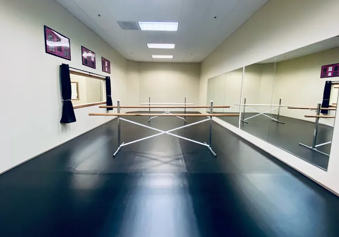 The Lotus Studio Picture 9