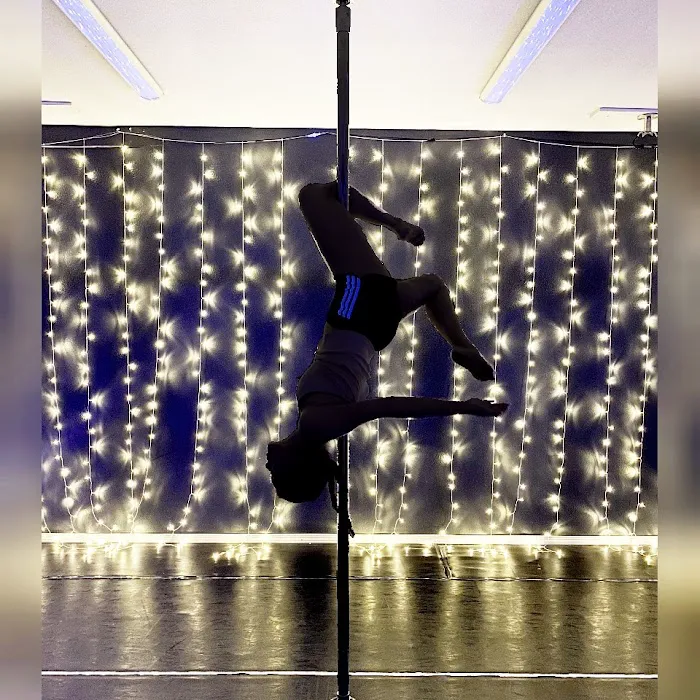 Empowerment Pole Studio Picture 5