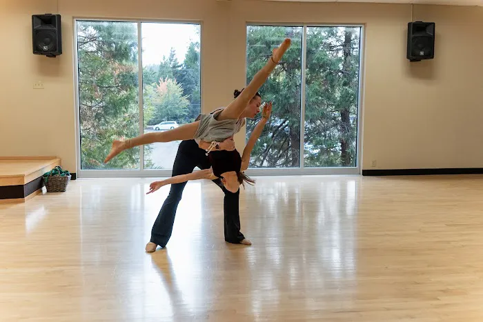 Orbit Movement and Dance Company Picture 5