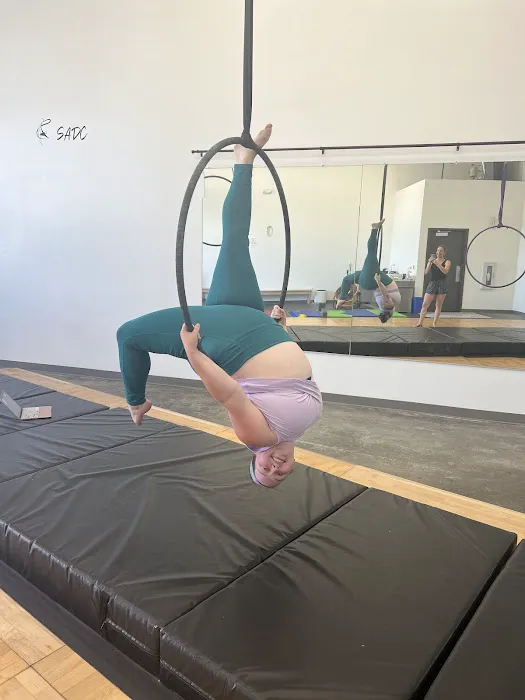Salem Aerial Dance Company Picture 7