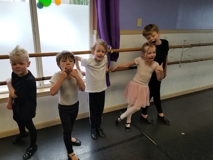 Dance Studio Picture 4
