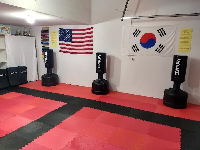 Reason's World Taekwondo Academy, LLC Picture 4
