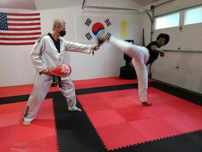 Reason's World Taekwondo Academy, LLC Picture 6