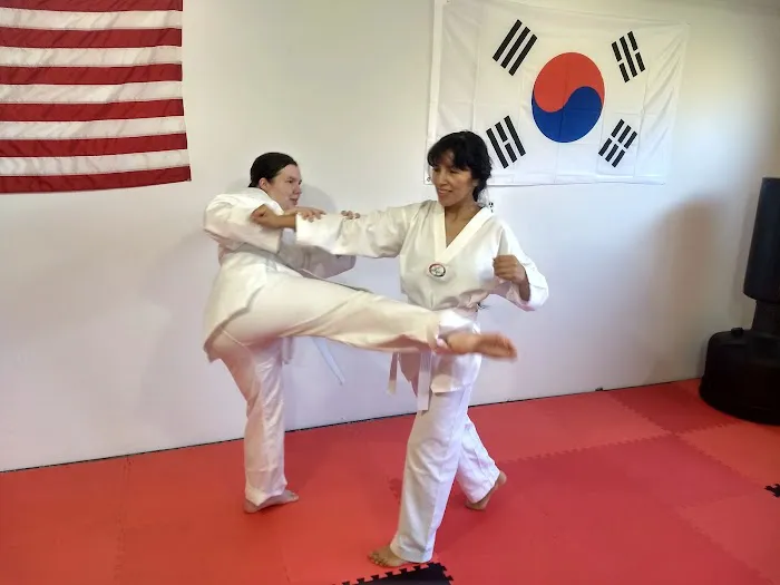 Reason's World Taekwondo Academy, LLC Picture 8