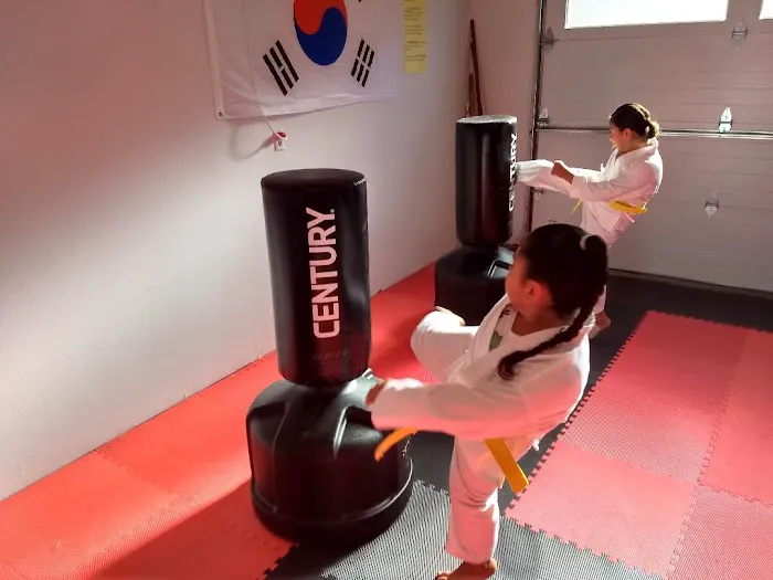 Reason's World Taekwondo Academy, LLC Picture 10