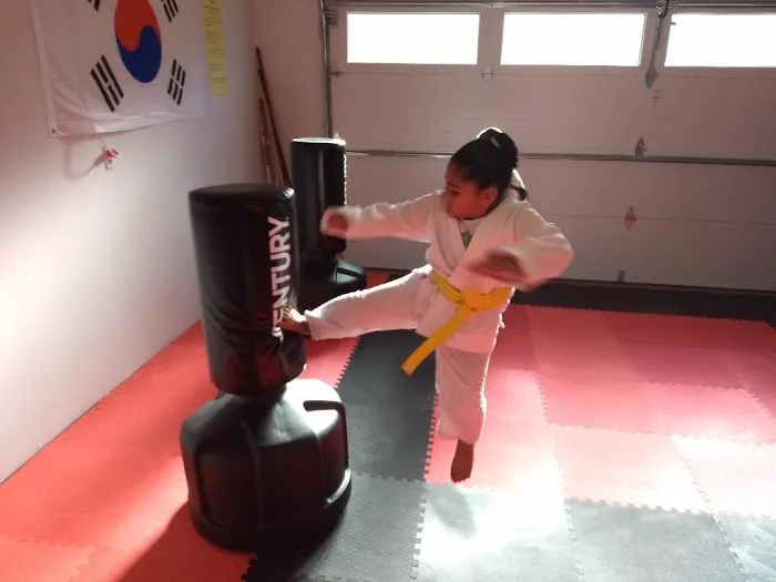 Reason's World Taekwondo Academy, LLC Picture 1