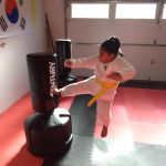 Reason's World Taekwondo Academy, LLC
