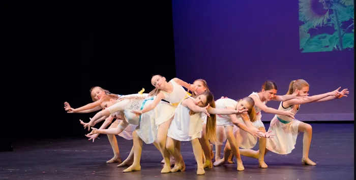 Dance With Me Picture 8