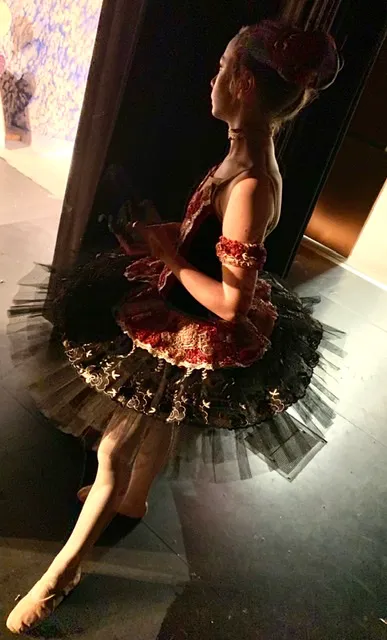 Santiam Ballet Academy Picture 5