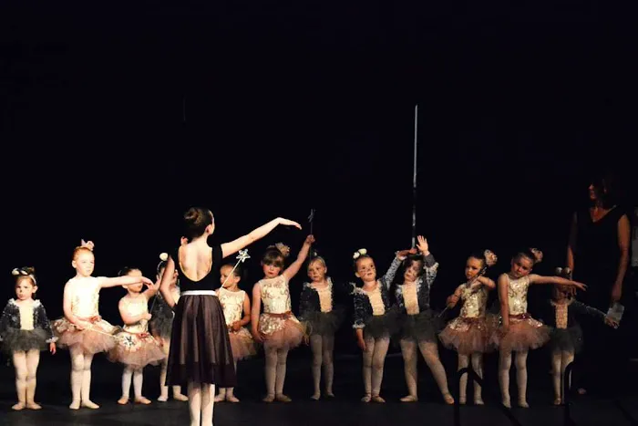 Santiam Ballet Academy Picture 9