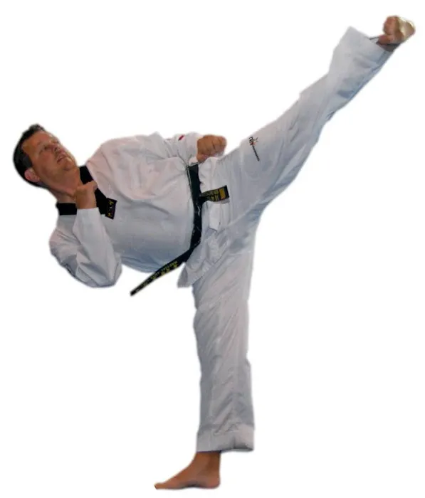 Martial Arts America Picture 4