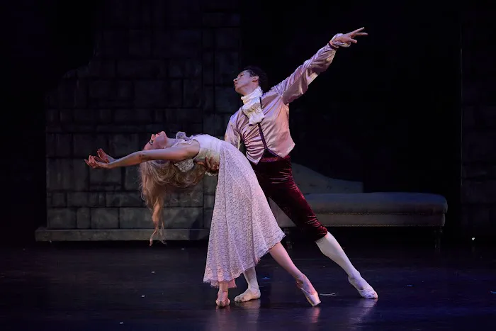 Ballet Fantastique Picture 1