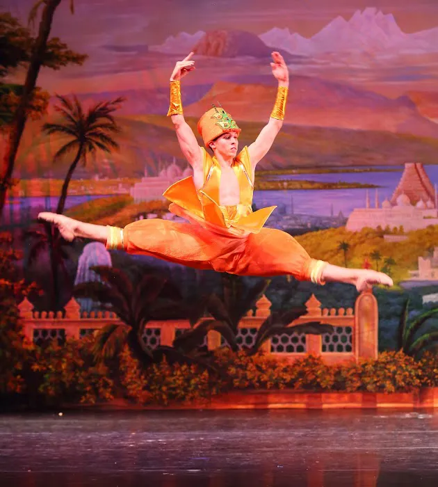 Ballet Fantastique Picture 5
