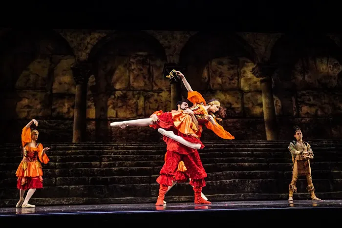 Ballet Fantastique Picture 10