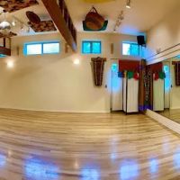 Denfinity Dance Studio ico