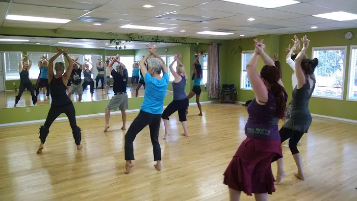 Platform360 - Dance classes and movement studio rental Picture 8