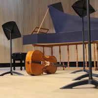 Dougherty Dance Theatre ico