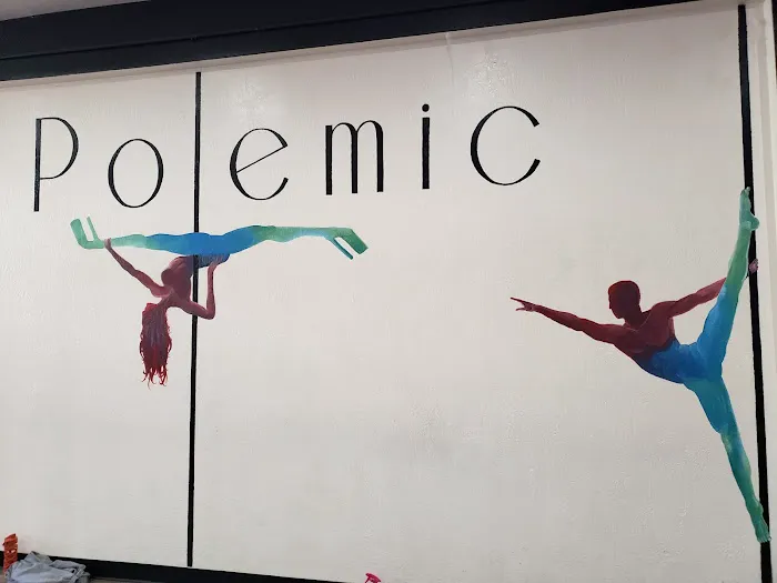 Polemic Dance & Fitness Studio Picture 1