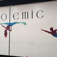 Polemic Dance & Fitness Studio ico