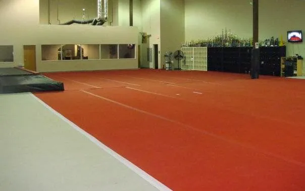 National Academy of Artistic Gymnastics Picture 7