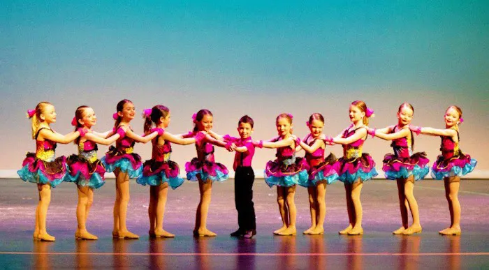 The Pulse Performing Arts Center Picture 1