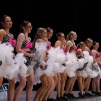 The Dance Element ico