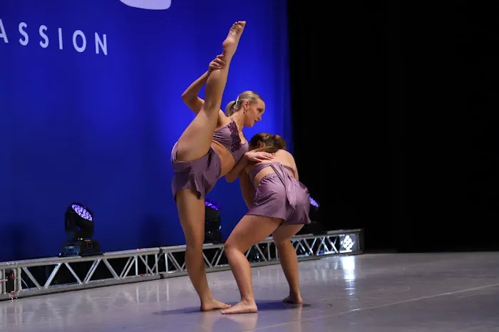The Dance Element Picture 2