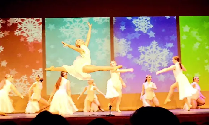 The Dance Element Picture 4