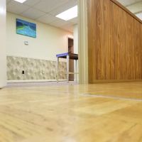 The Pointe Dance Studio ico